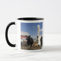 Cows in front of a red barn and silo on a farm