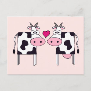 Cows in Love Postcard