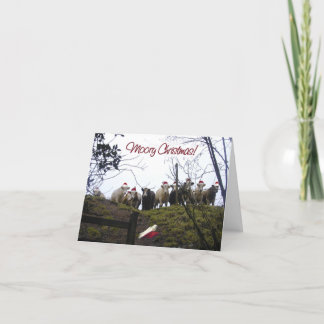 Cows in Santa Hats Christmas Party Invitation. Invitation