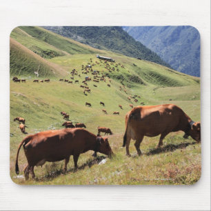 cows in Tarentaise Valley - Tarine race Mouse Mat
