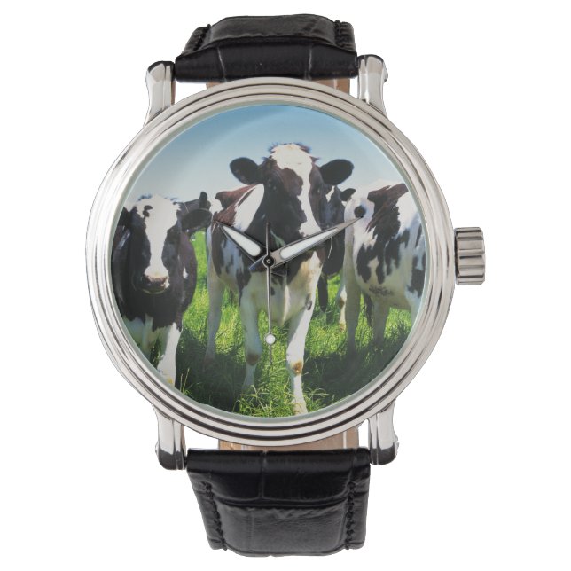 Cows in the field, Betsukai town, Hokkaido Watch (Front)