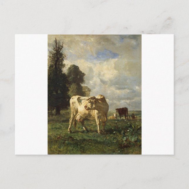 Cows in the Field by Constant Troyon Postcard (Front)
