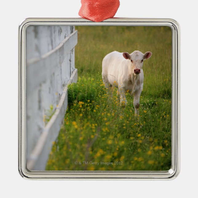 Cows in the field metal tree decoration (Front)