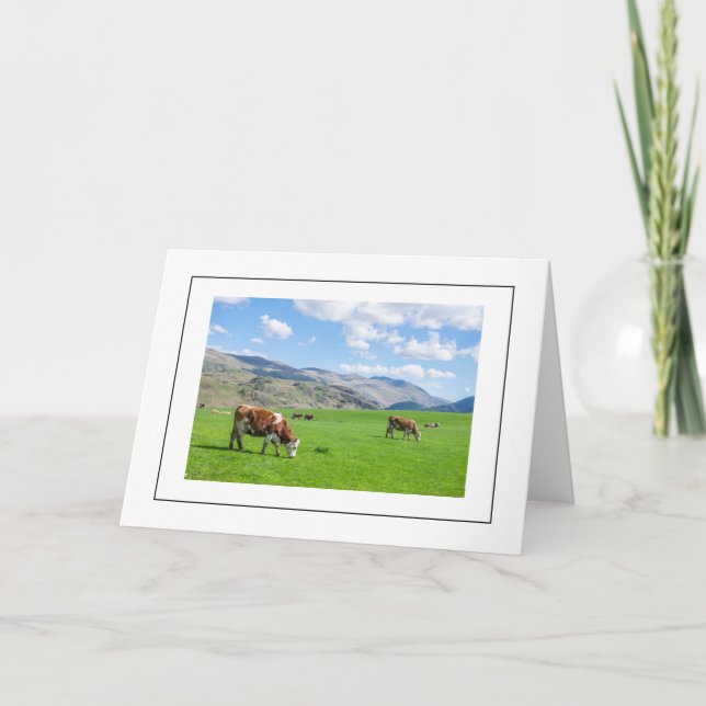 Cows in the Lake District greeting card (Front)