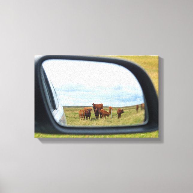 Cows in the mirror canvas print (Front)