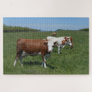 Cows In The Pasture Jigsaw Puzzle
