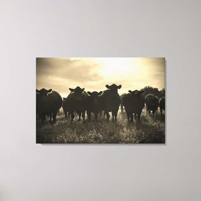 Cows in the Pasture - Sepia Tone Canvas Print (Front)