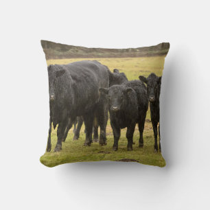 Cows in the rain cushion