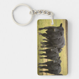 Cows in the rain key ring