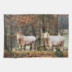 Cows in woodland tea towel