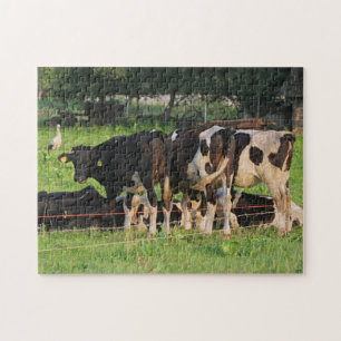 Cows Jigsaw Puzzle
