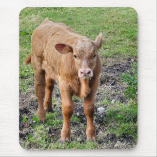 COWS MOUSE MAT