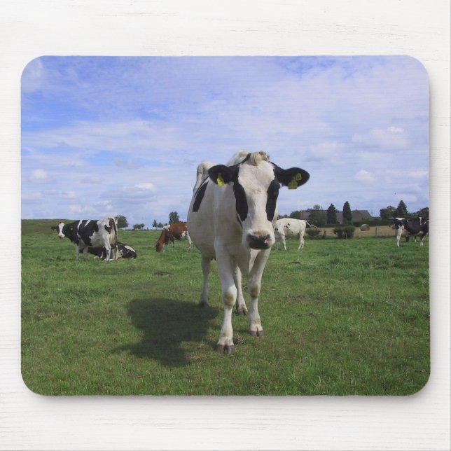 Cows Mouse Mat (Front)