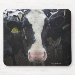 Cows Mouse Mat