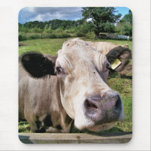COWS MOUSE MAT