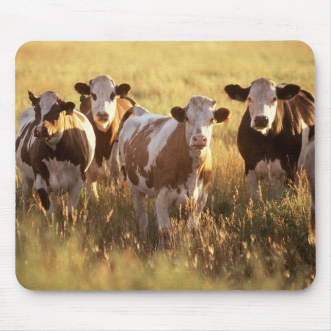 Cows Mouse Mat (Front)