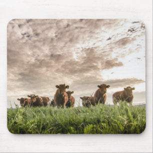 Cows Mouse Mat