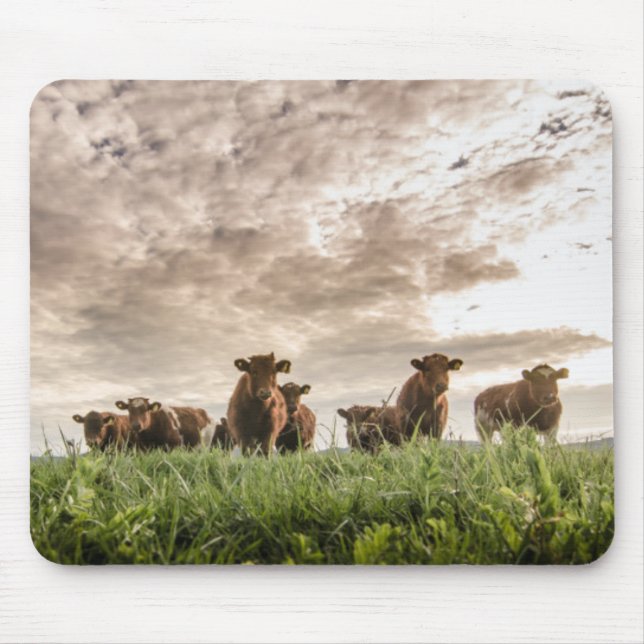 Cows Mouse Mat (Front)