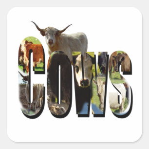 Cows Name Logo, Square Sticker