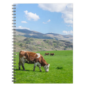 Cows notebook