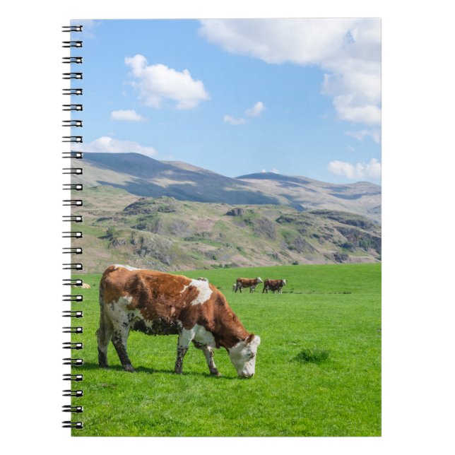 Cows notebook (Front)