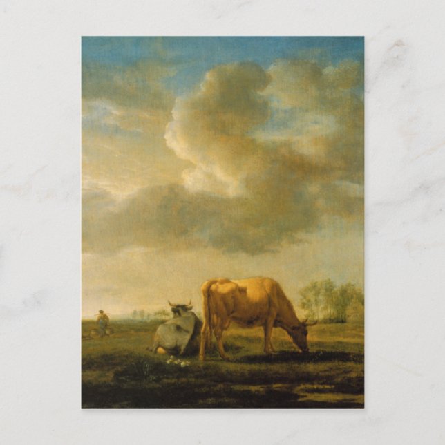 Cows on a Meadow by Adriaen van de Velde Postcard (Front)