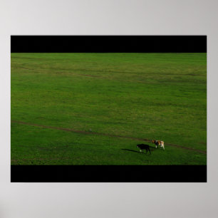 Cows on Panoramic Pasture Poster