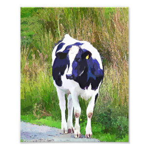 COWS PHOTO PRINT