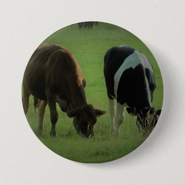 Cows photo Round Badge (Front)