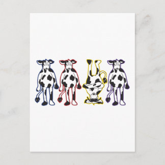 cows postcard