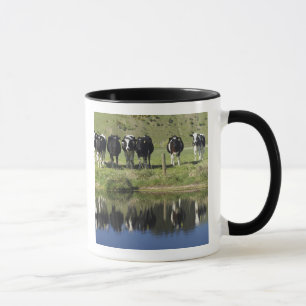 Cows reflected in canal, Henley, Taieri Plain, Mug