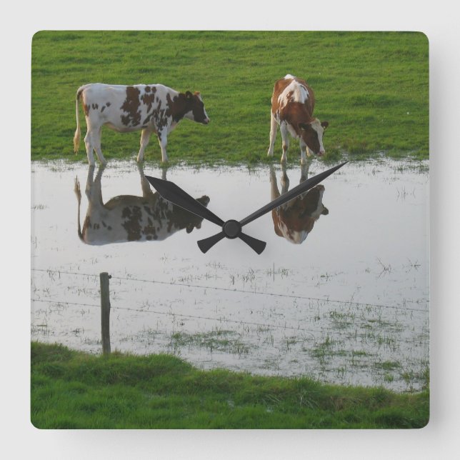 Cows Reflections Clock (Front)