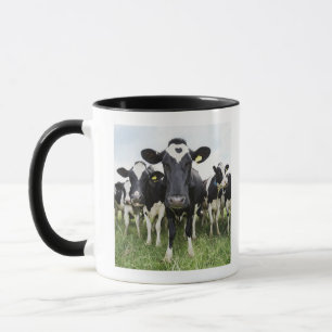 Cows standing in a row looking at camera mug