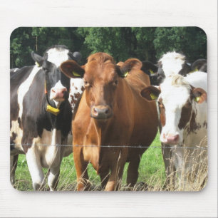 Cows Themed Gifts: Forever Friends Mousepad