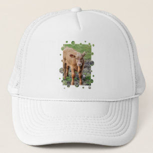COWS TRUCKER HAT