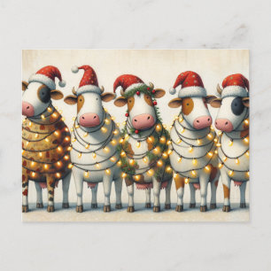 Cows with Santa Hat Christmas lights Holiday Postcard