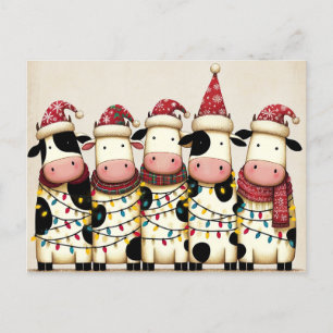 Cows with Santa Hat Christmas lights Holiday Postcard