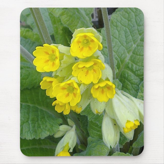 Cowslip Flowers Mousepad (Front)