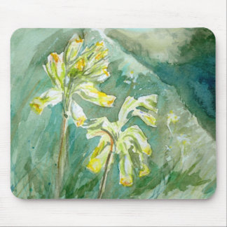 Cowslips Primula veris on a grassy bank Mousemat