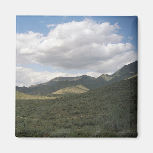 Cowyboy Skyline Desert Decorative Magnet (Front)
