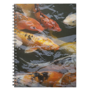 Coy Fish Notebook
