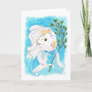 Coy/Koi blank card
