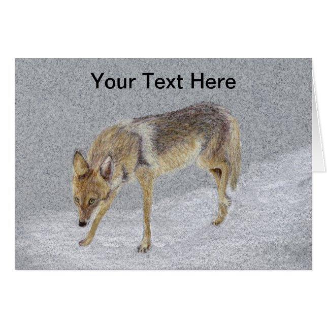 Coyote (Front Horizontal)