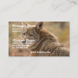 Coyote Business Card