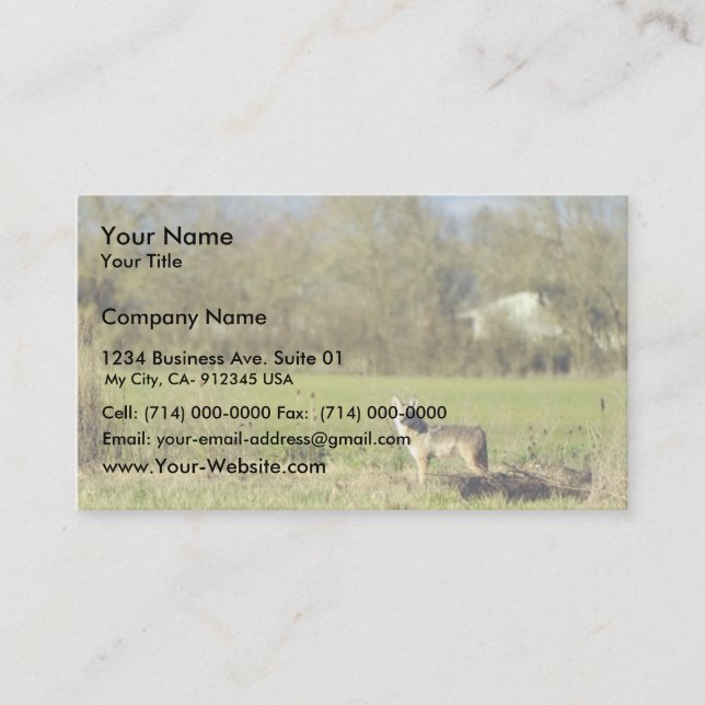 Coyote Business Card (Front)
