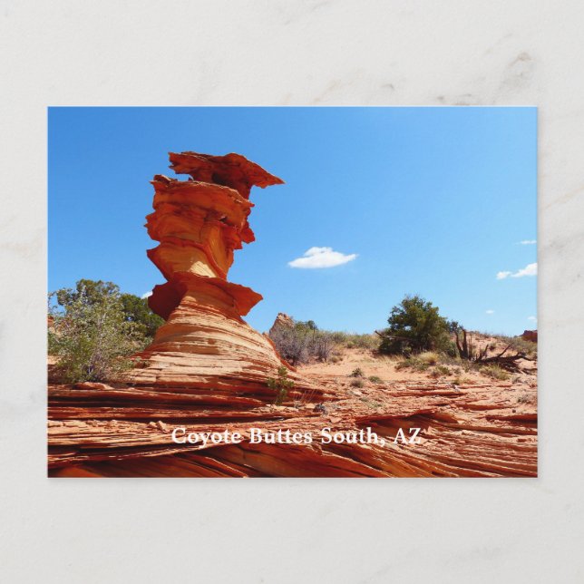 Coyote Buttes South, AZ Arizona, Rock Formations Postcard (Front)