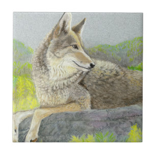 Coyote Ceramic Tile