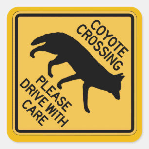 Coyote Crossing, Traffic Warning Sign, USA Square Sticker