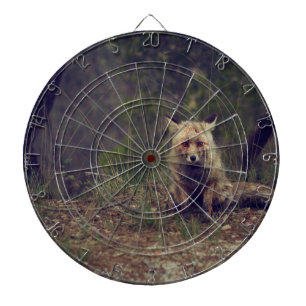 Coyote Dartboard