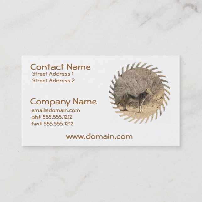 Coyote Design Business Card (Front)